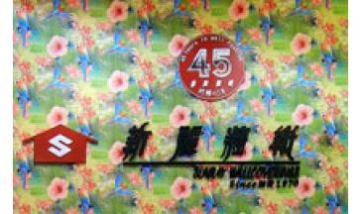 珠海新麗墻紙有限公司全景圖