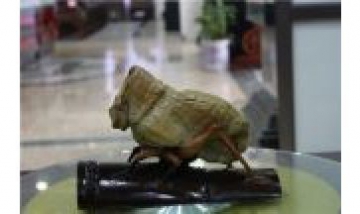 紹興市觀賞石協(xié)會雲(yún)林會館全景圖