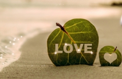 北京做網(wǎng)站公司、高端網(wǎng)站建設(shè)、高端品牌網(wǎng)站建設(shè)、北京網(wǎng)絡(luò)公司