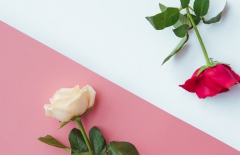 北京網(wǎng)站建設(shè)、北京網(wǎng)站建設(shè)公司、北京網(wǎng)站制作公司、北京網(wǎng)站制作、北京做網(wǎng)站