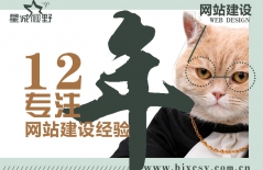 公司的網(wǎng)站制作、響應(yīng)式網(wǎng)站制作、專業(yè)的網(wǎng)站制作公司、北京網(wǎng)站制作