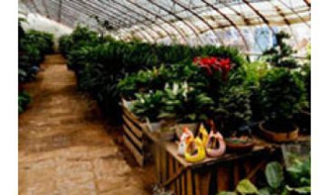 呼和浩特雨龍農(nóng)業(yè)設(shè)施設(shè)備有限公...