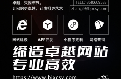 SEO關(guān)鍵詞優(yōu)化、網(wǎng)站排名、提升網(wǎng)站排名