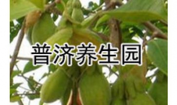 普濟養(yǎng)生園全景圖