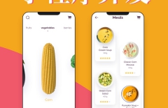 微信小程序開發(fā)，小程序開發(fā)，微信小程序，小程序商城